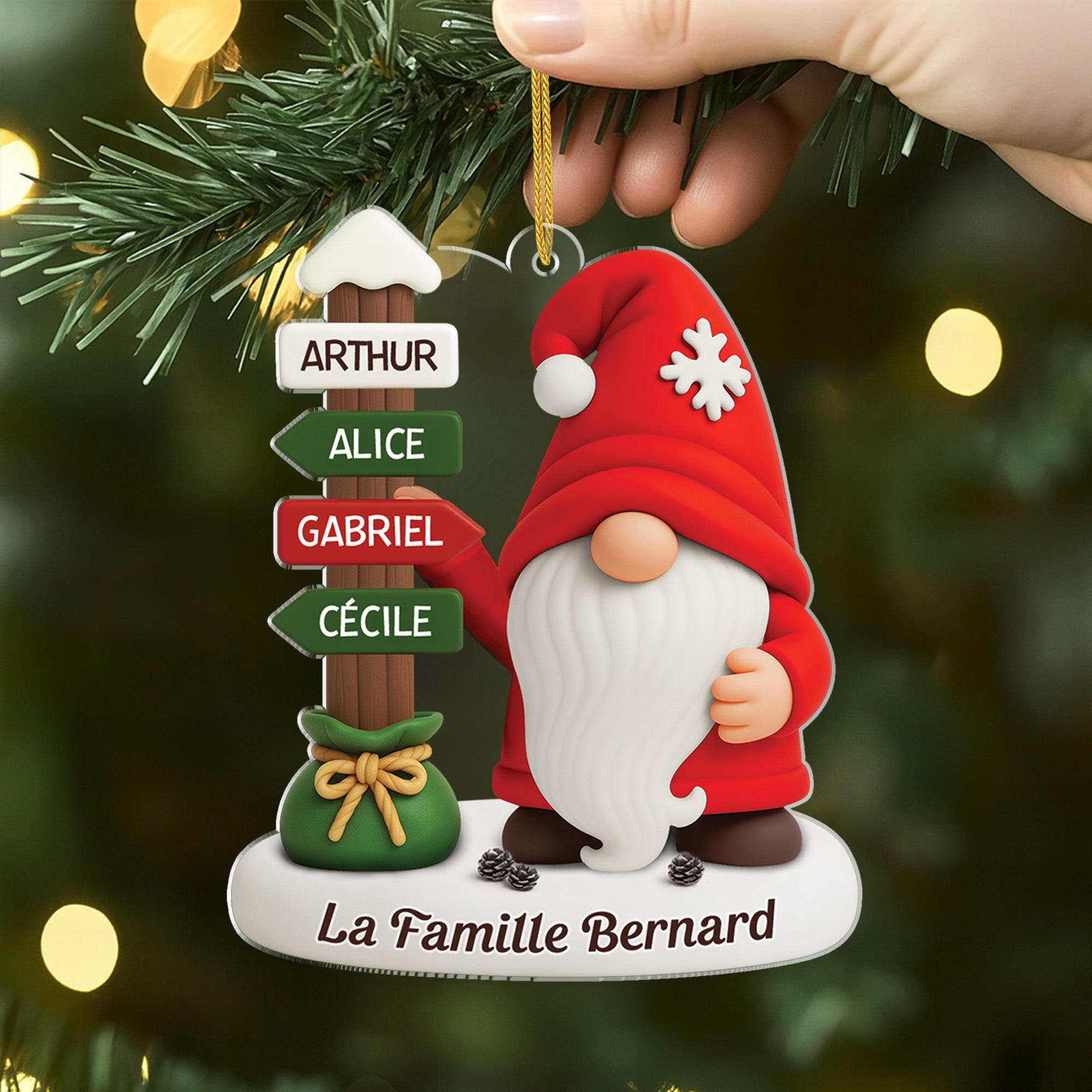 6971OFR2 ornement noel acrylique personnalise famille gnome avec prenoms 6971ottmi