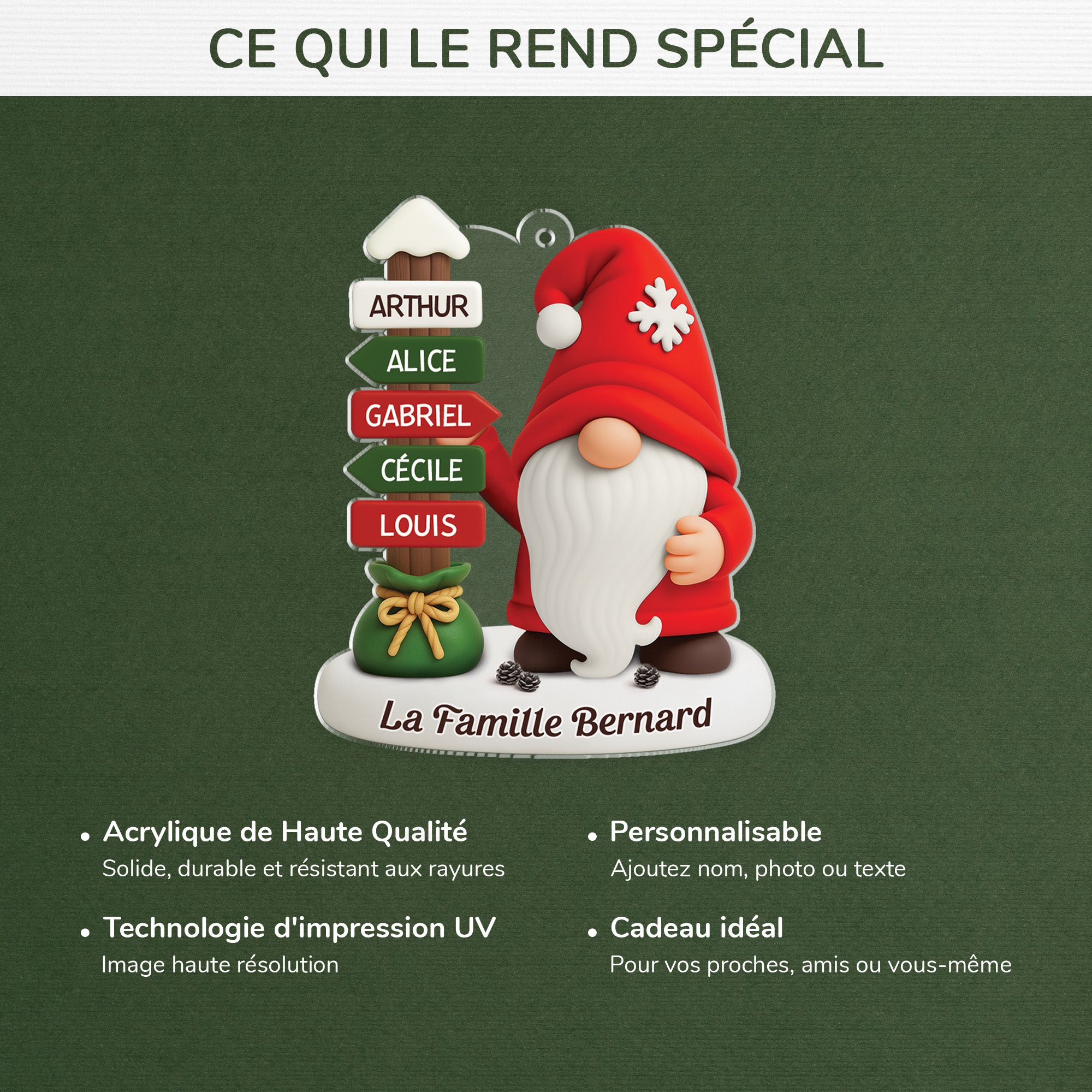 6971OFR4 ornement noel acrylique personnalise famille gnome avec prenoms 6971ottmi