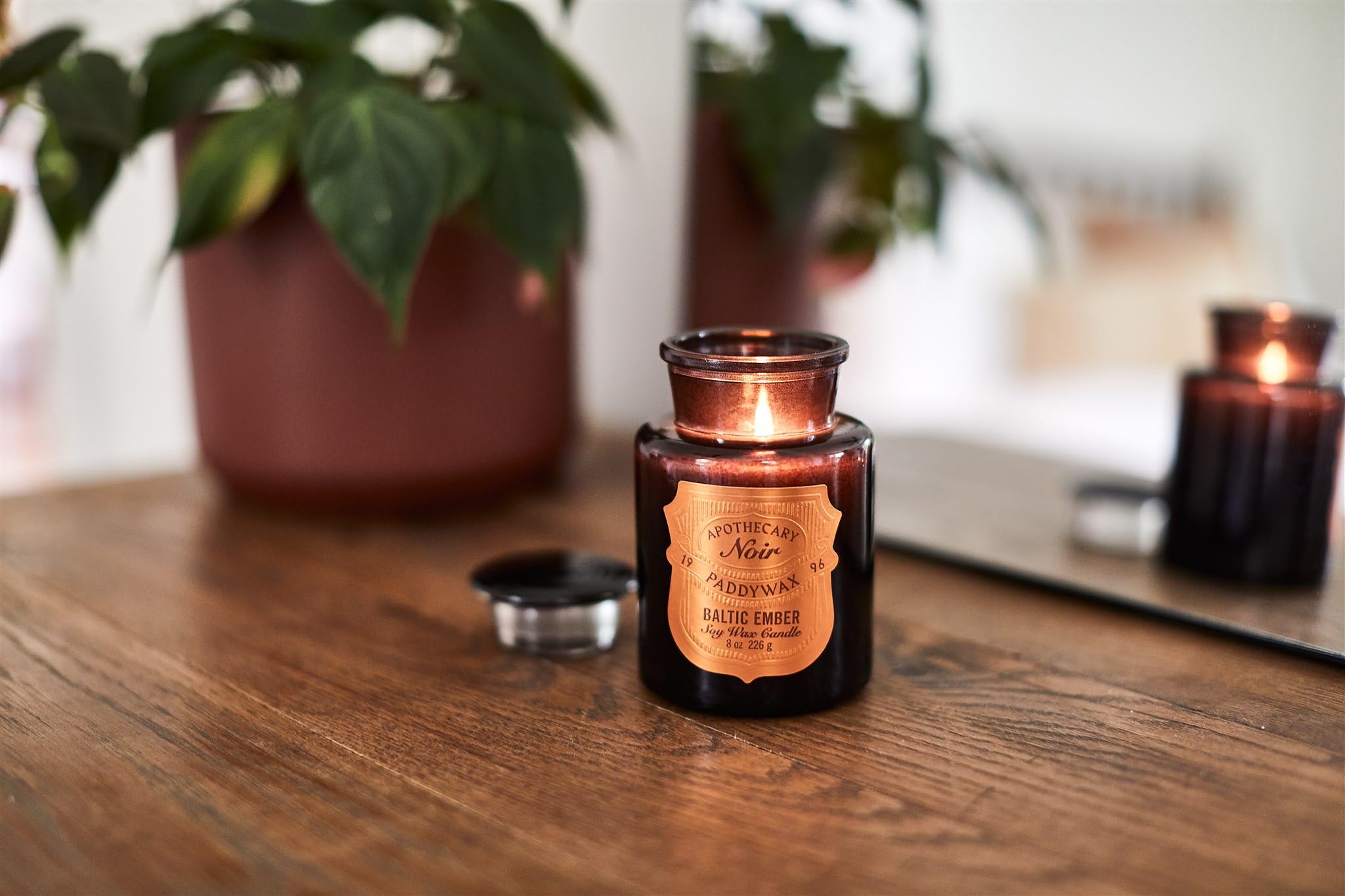 Bougie parfumée “Mousse d’Émeraude” – Paddywax