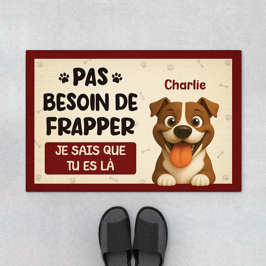 7285DFR1 paillasson personnalise chien pas besoin de frapper je sais 7285d8kcc