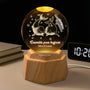7514LFR1 veilleuse boule de cristal 3d personnalisee ensemble pour toujours couple de dauphin 7514l8lng_1