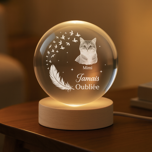 7644LFR1 veilleuse boule de cristal personnalisee photo commemorative mon petit chien et chat 7644l3ftd