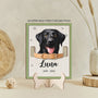 7727QFR2 mon chat me manquera plaque en bois personnalisee avec photo commemorative 7727qsqad