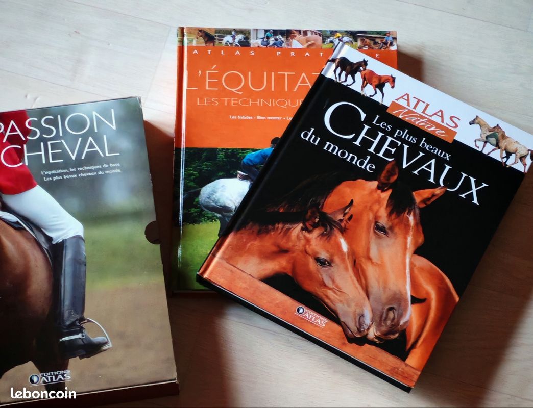 Livre jeunesse sur l’univers de l’équitation