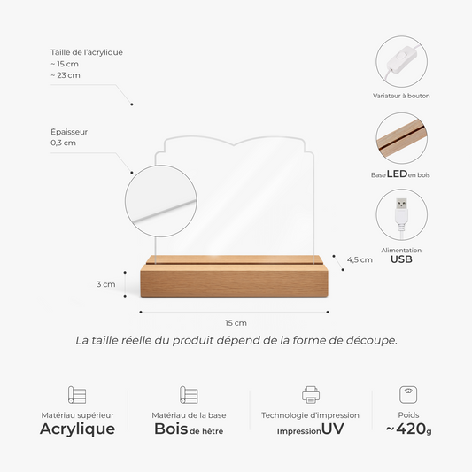 7791LFR2 veilleuse personnalisee pour femmehomme amoureux des livres ma bibliotheque 7791lctha