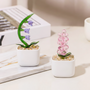 7916AFR1 plante en verre artisanale en pot cadeau original pour femme 7916aokv5a_2