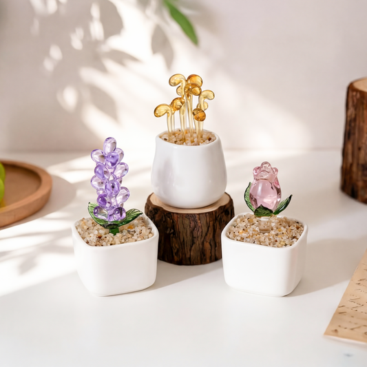 7916AFR1 plante en verre artisanale en pot cadeau original pour femme 7916aokv5a_3