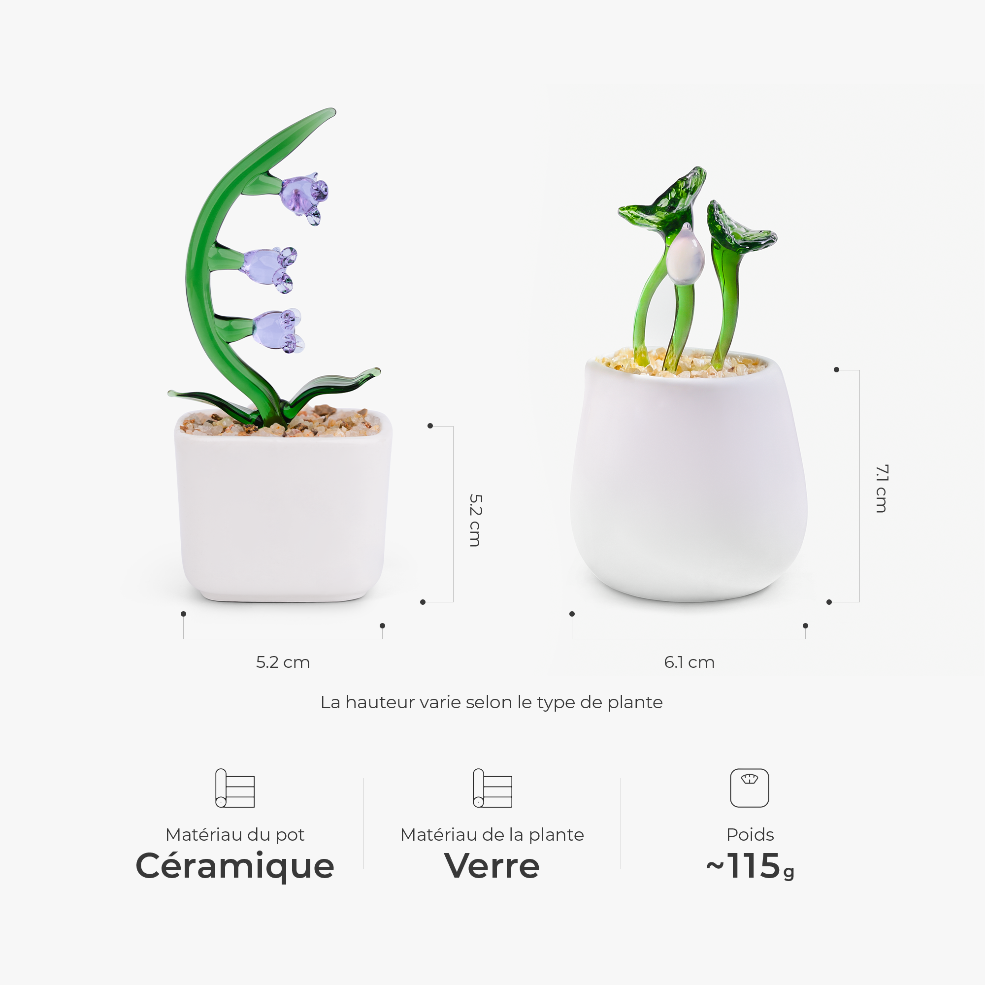 7916AFR1 plante en verre artisanale en pot cadeau original pour femme 7916aokv5a_4