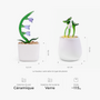7916AFR1 plante en verre artisanale en pot cadeau original pour femme 7916aokv5a_4