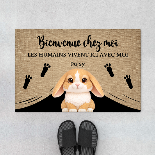 8143DFR1 paillasson personnalise lapin cadeau bienvenue chez moi 8143dak5i