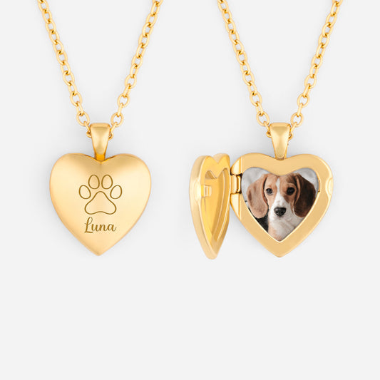 8334JFR1 collier avec photo personnalise cadeau pour amoureux des chiens chats 8334j8v5d_1