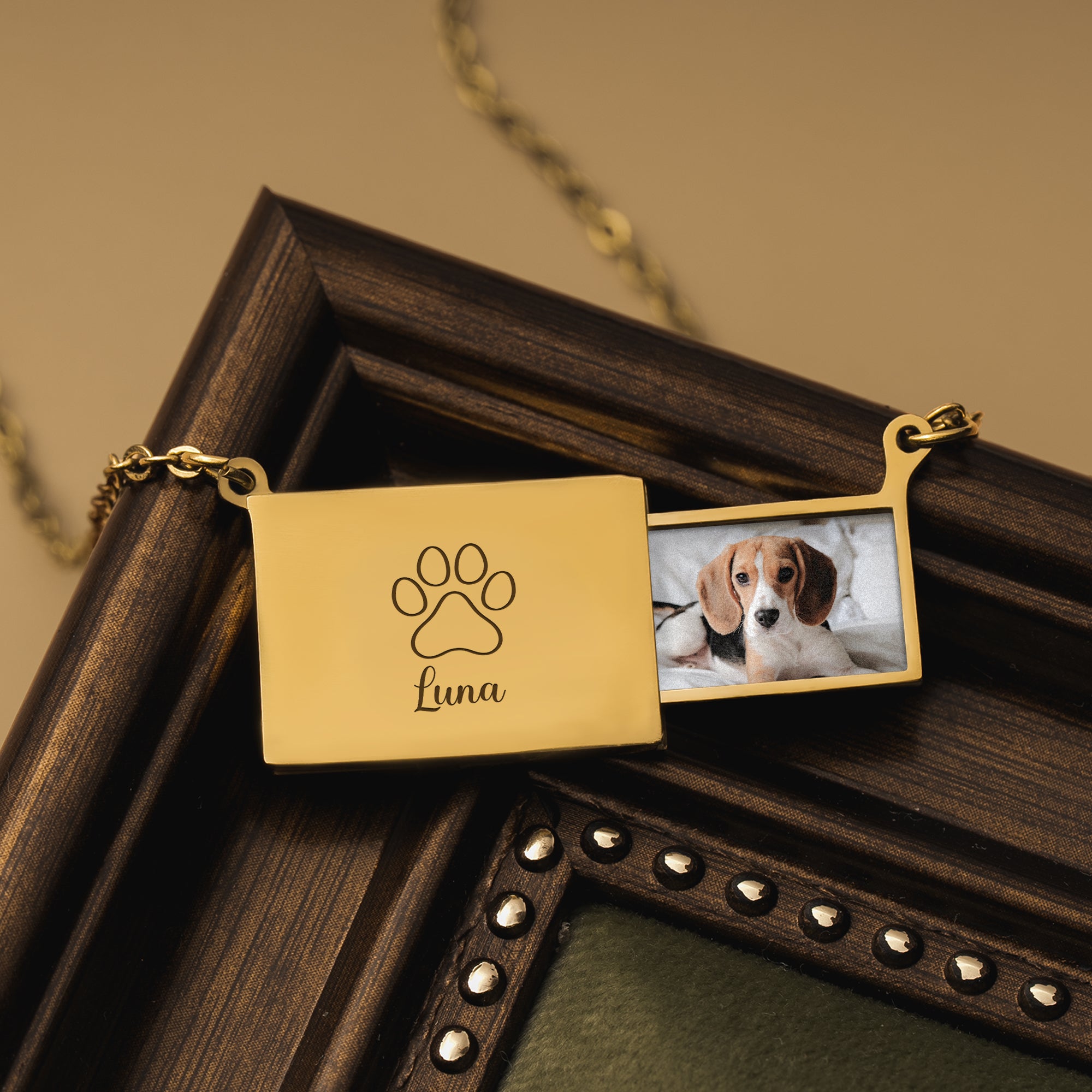 8334JFR2 collier photo personnalise chien chat_ mon petit animal 8334j8p5d