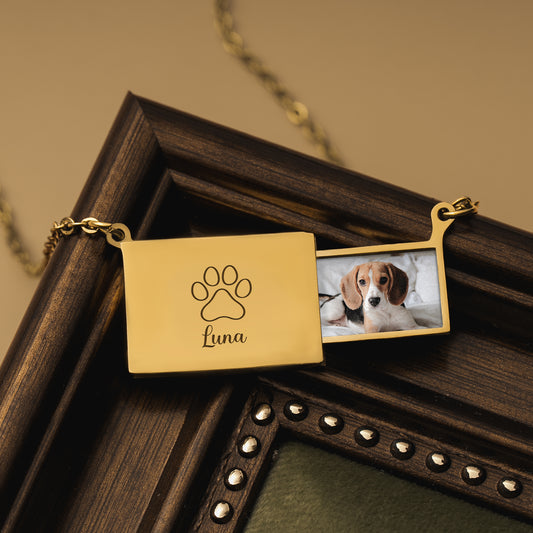 8334JFR2 collier photo personnalise chien chat_ mon petit animal 8334j8p5d