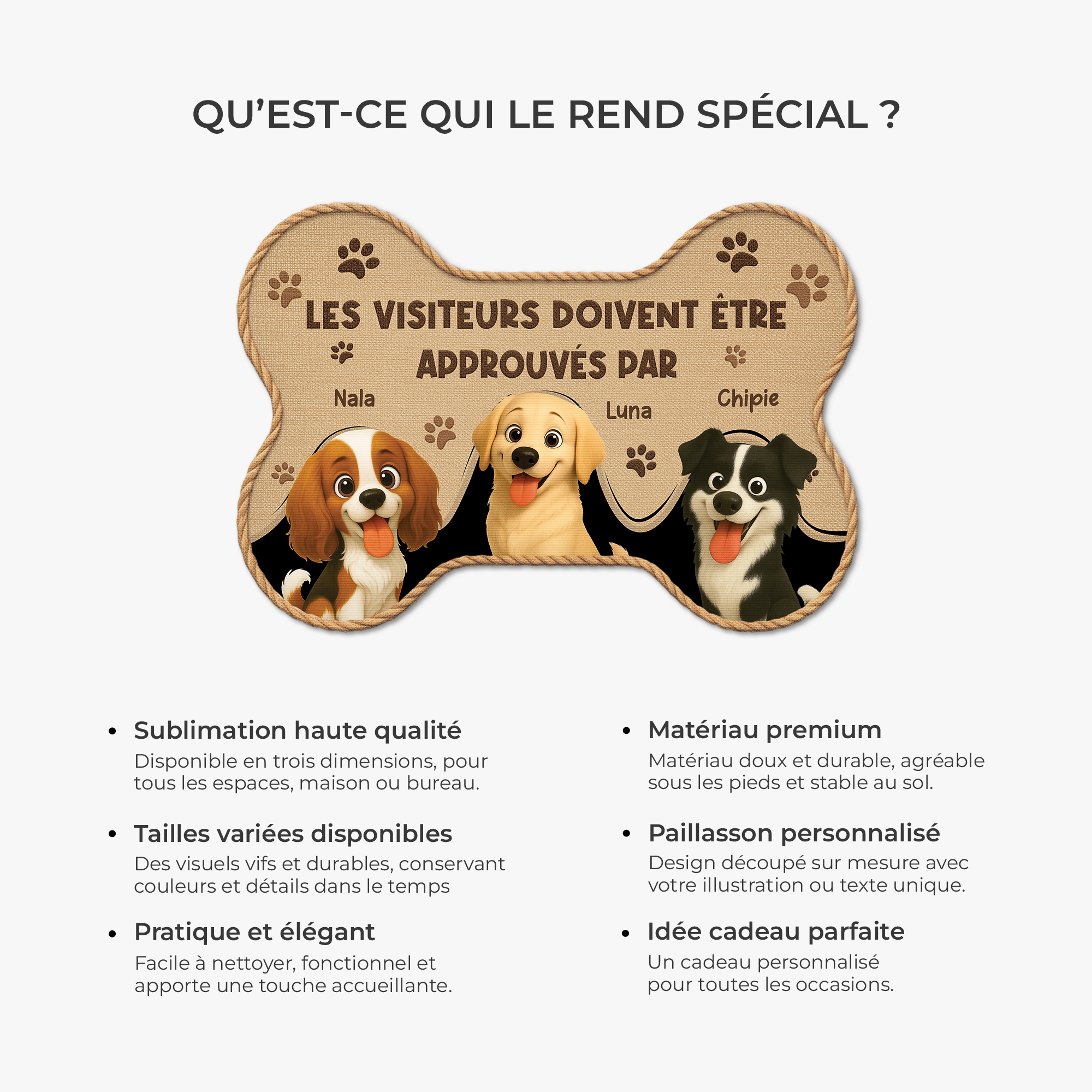 8546AFR6 paillasson chien personnalise a forme originale visiteurs approuves par chiens 8546ad8ezc