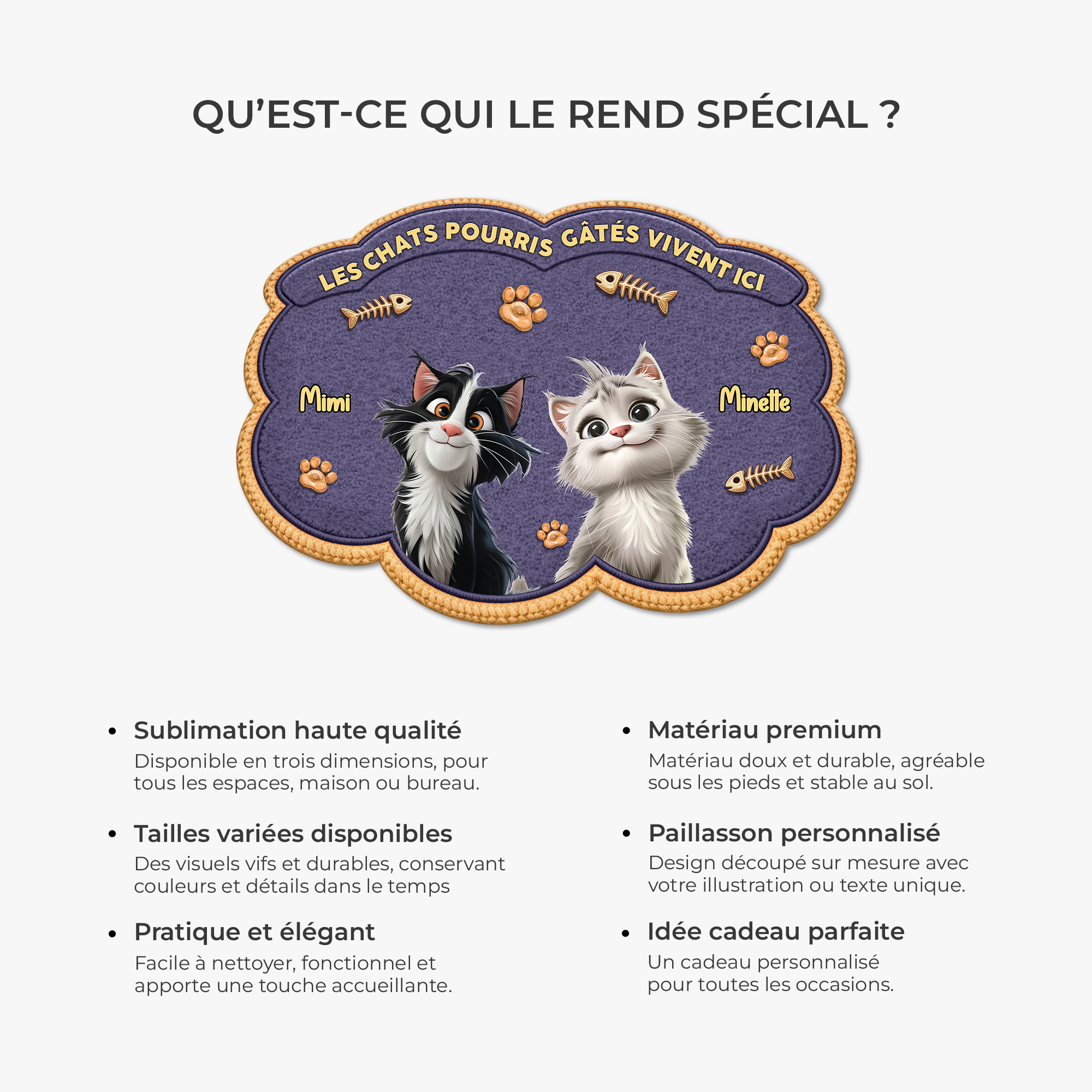 8558AFR1 paillasson chat personnalise a forme decoupee chat pourri gate 8558adavrd_6