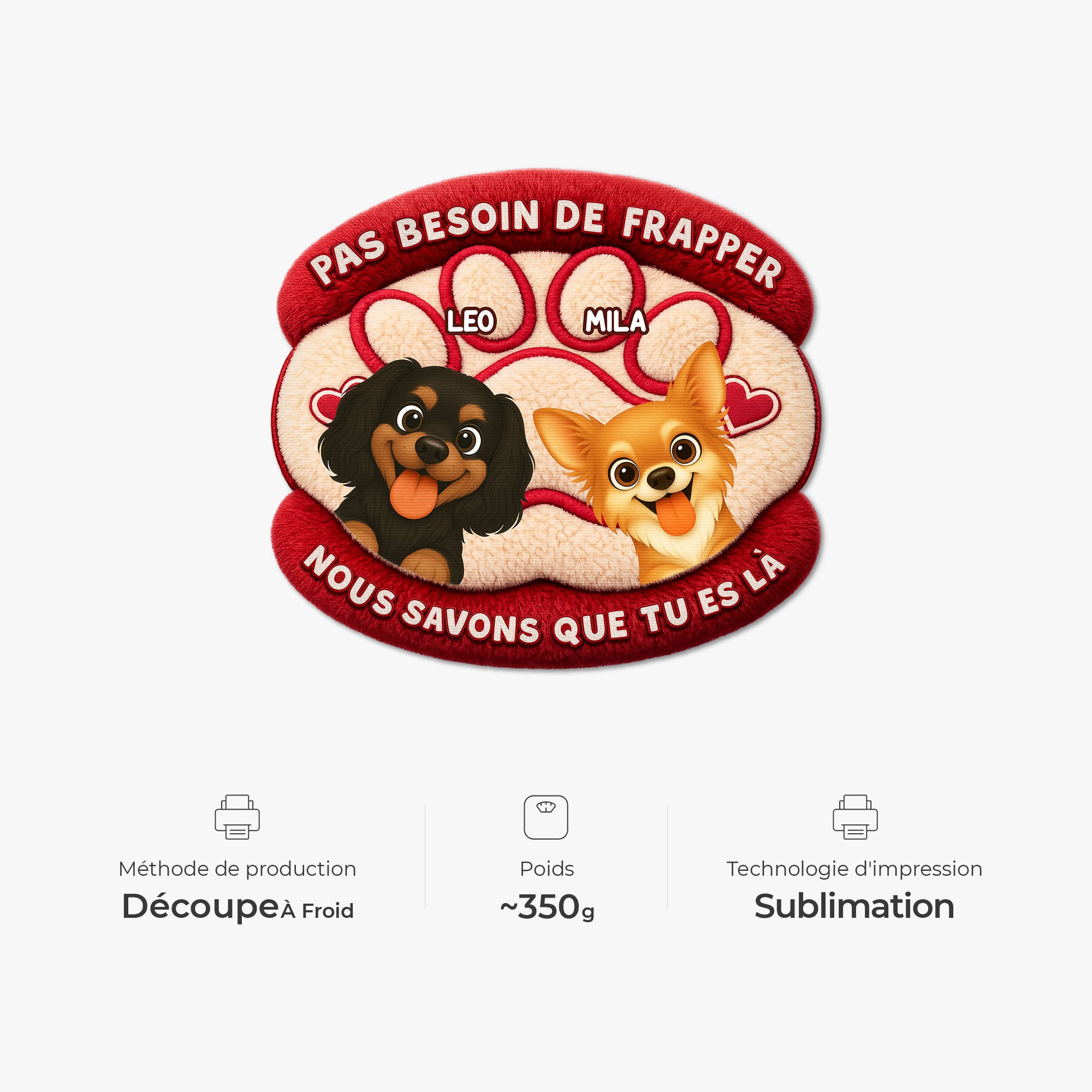 8564AFR1 paillasson personnalise chien a forme decoupee pas besoin de frapper 8564adavwc_4