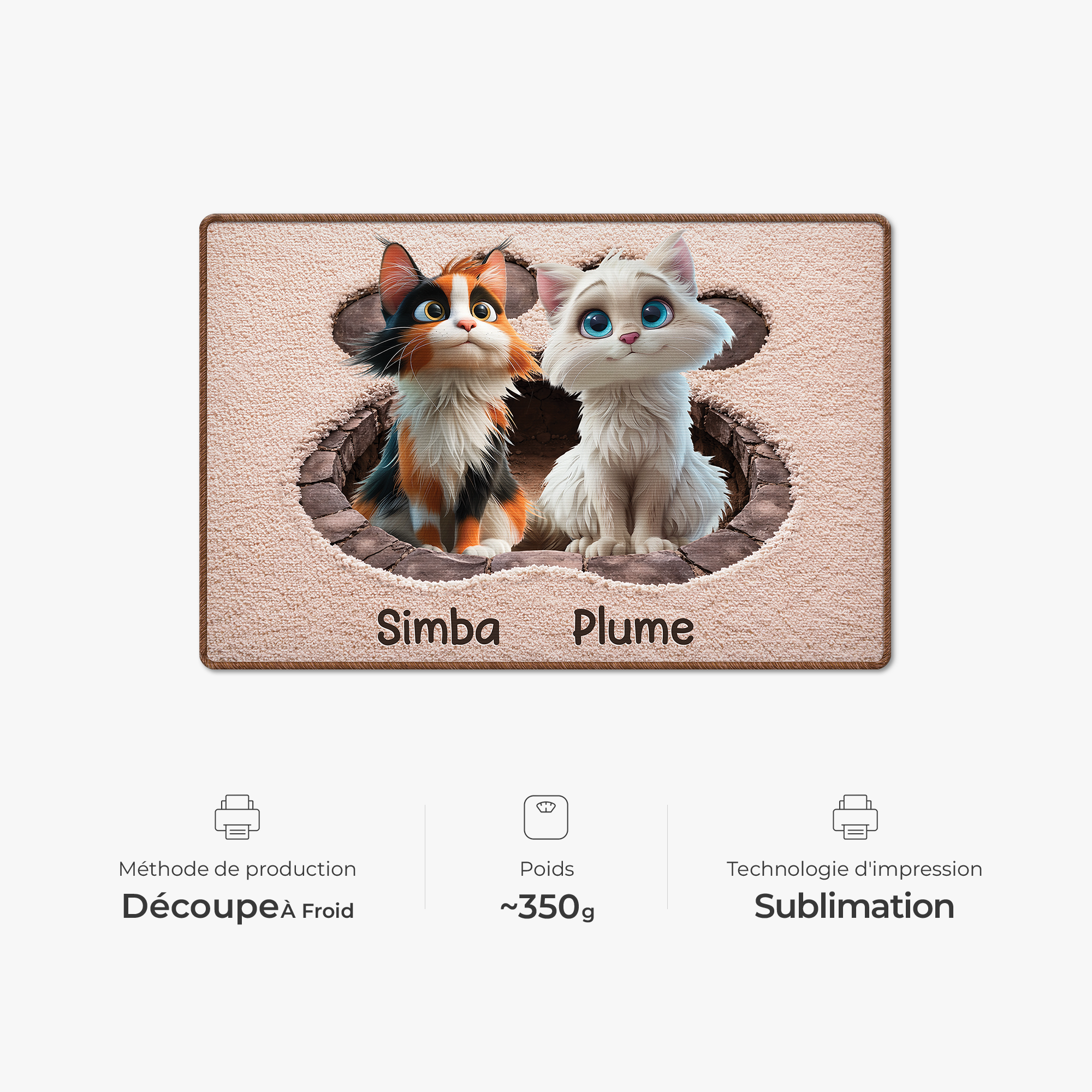 8565AFR4 effet dimpression 3d paillasson personnalise chat a forme decoupee patte de chat 8565adsfnd