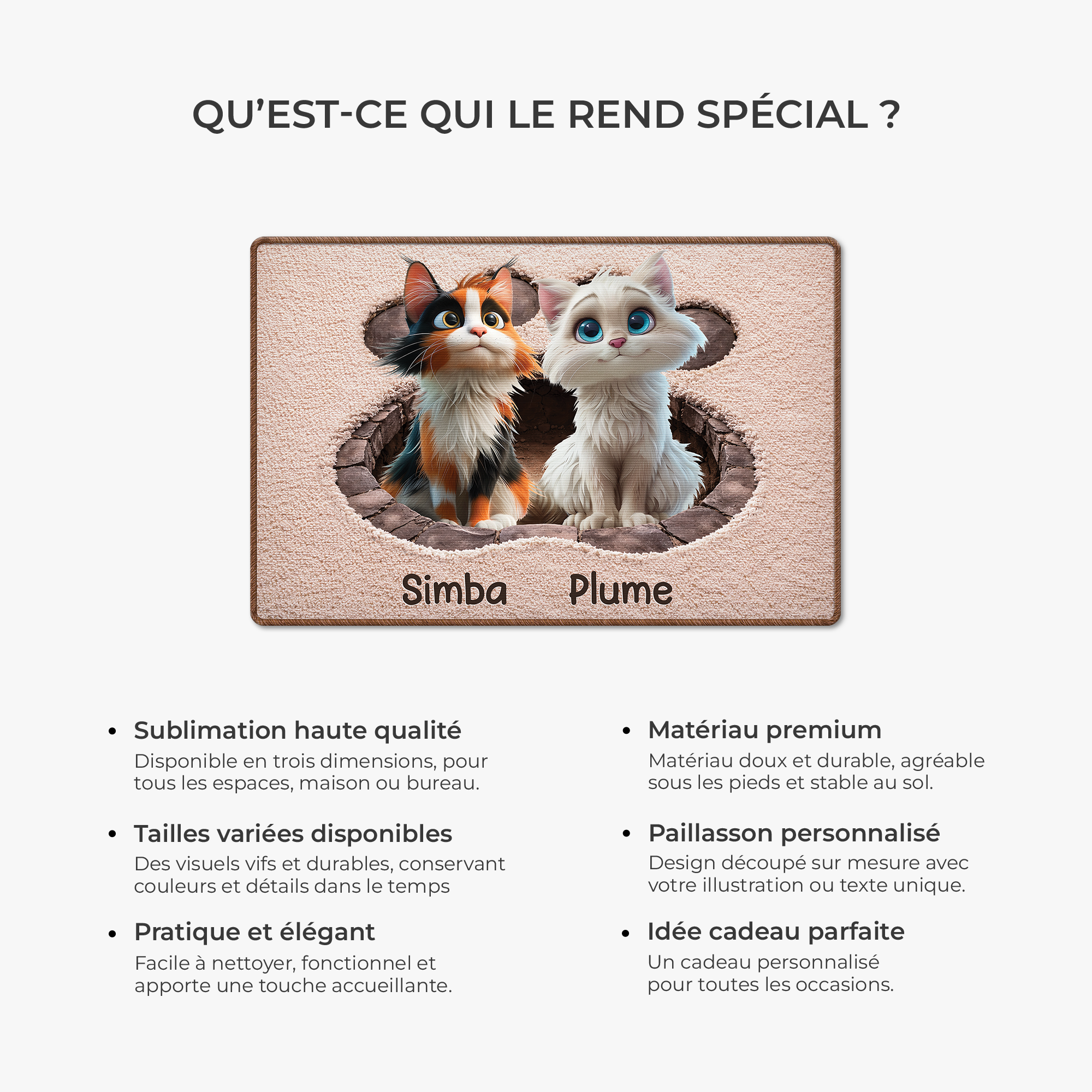 8565AFR6 effet dimpression 3d paillasson personnalise chat a forme decoupee patte de chat 8565adsfnd