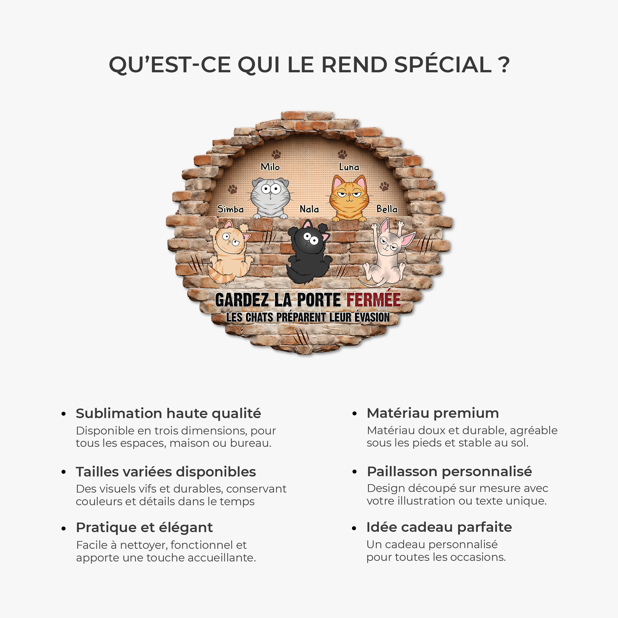 8567AFR6 effet dimpression 3d paillasson personnalise chat a forme decoupee chat prepare son evasion 8567adsmd