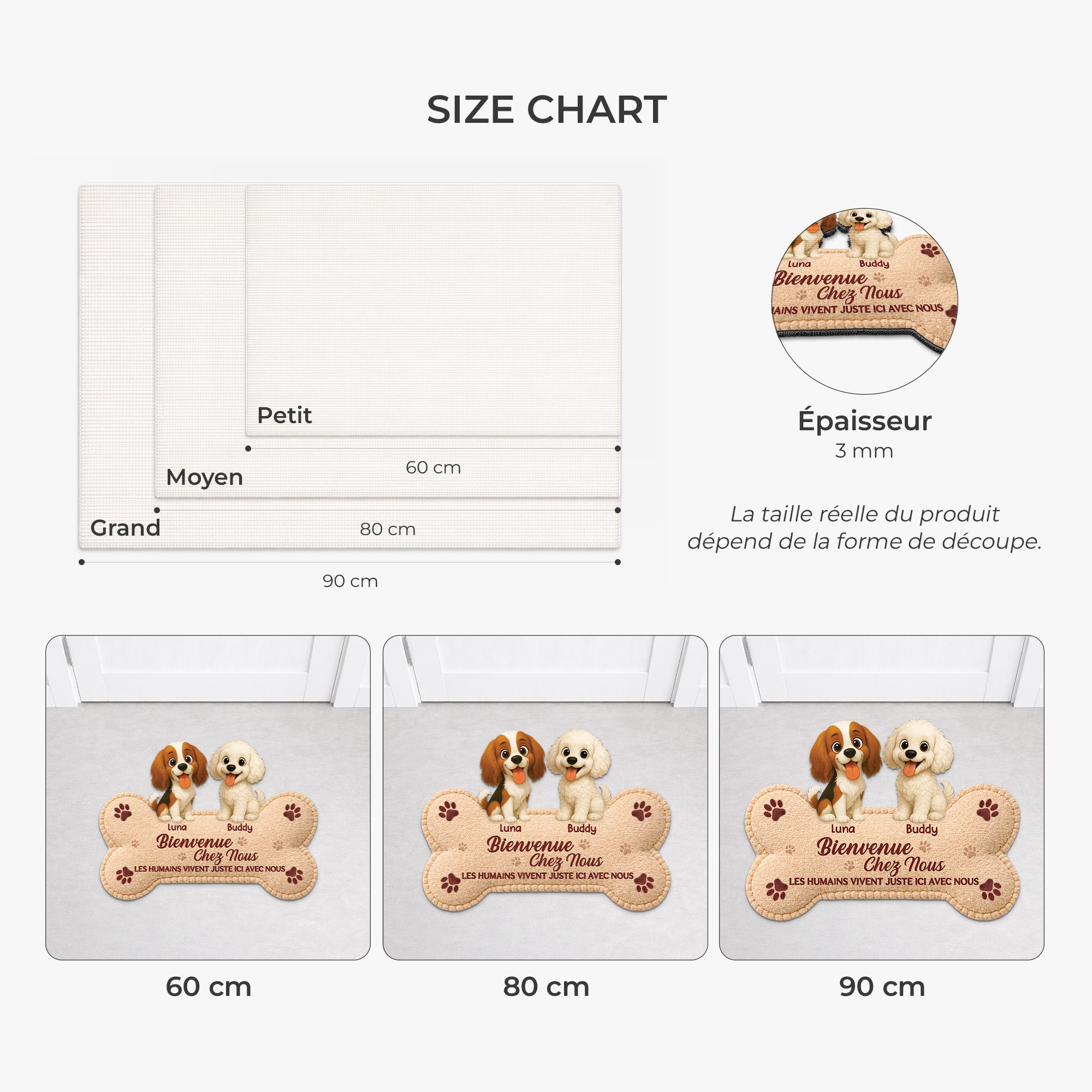 8579AFR3 paillasson chien personnalise a forme decoupee bienvenue chez moi 8579ad6pcc
