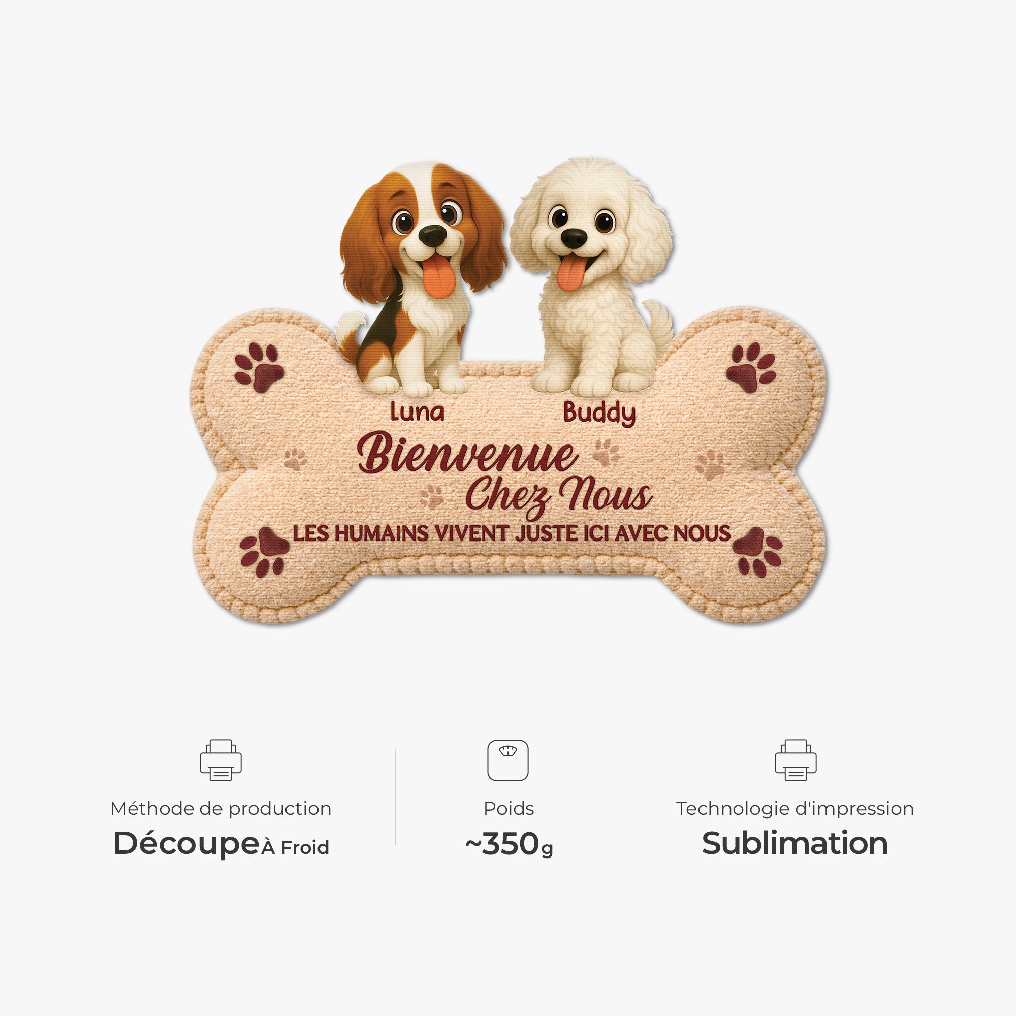 8579AFR4 paillasson chien personnalise a forme decoupee bienvenue chez moi 8579ad6pcc