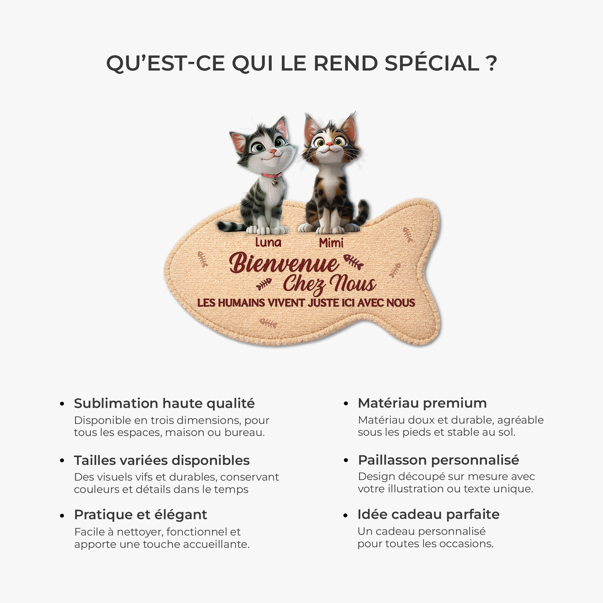 8579AFR6 paillasson chat personnalise a forme decoupee bienvenue chez moi 8579ad6pcd