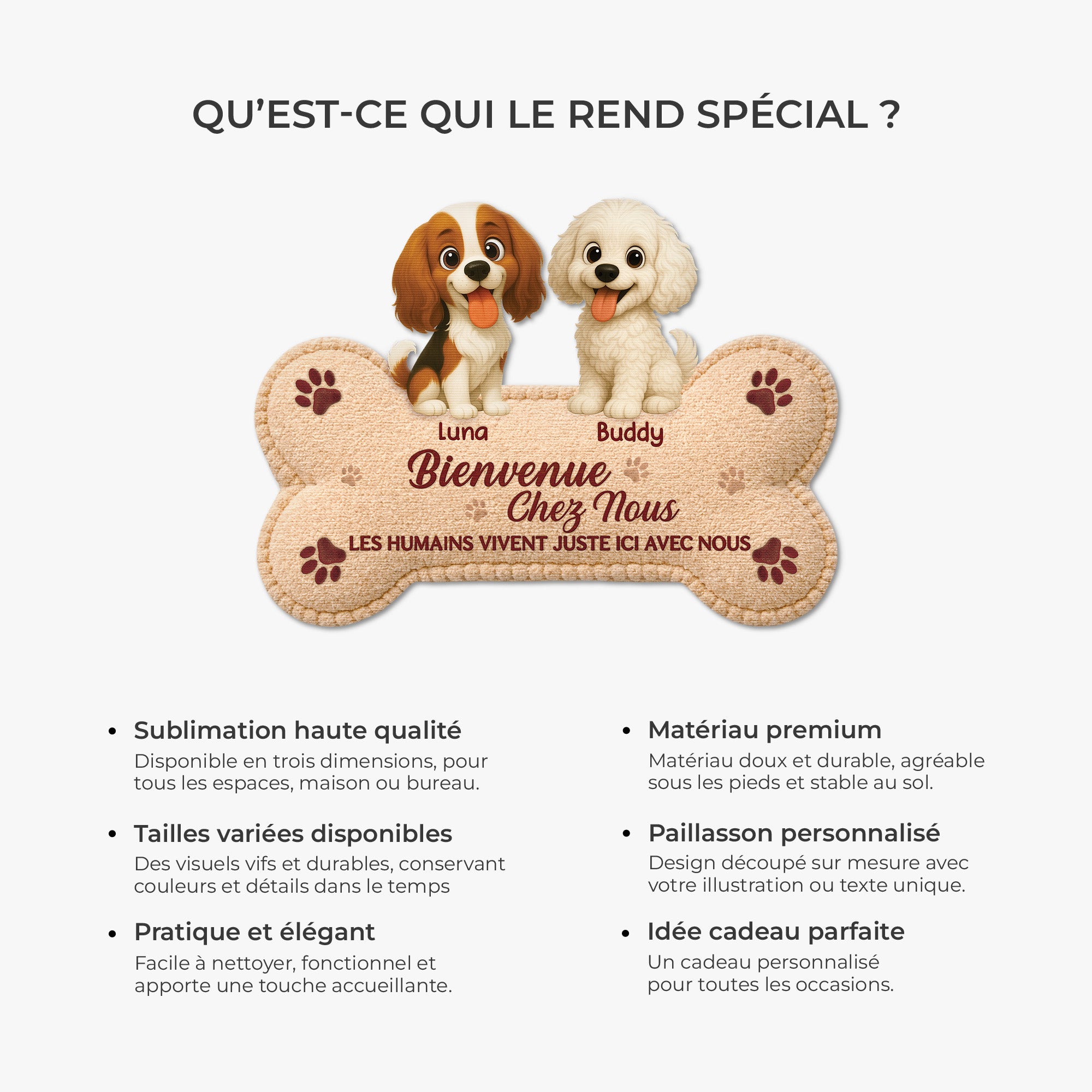 8579AFR6 paillasson chien personnalise a forme decoupee bienvenue chez moi 8579ad6pcc