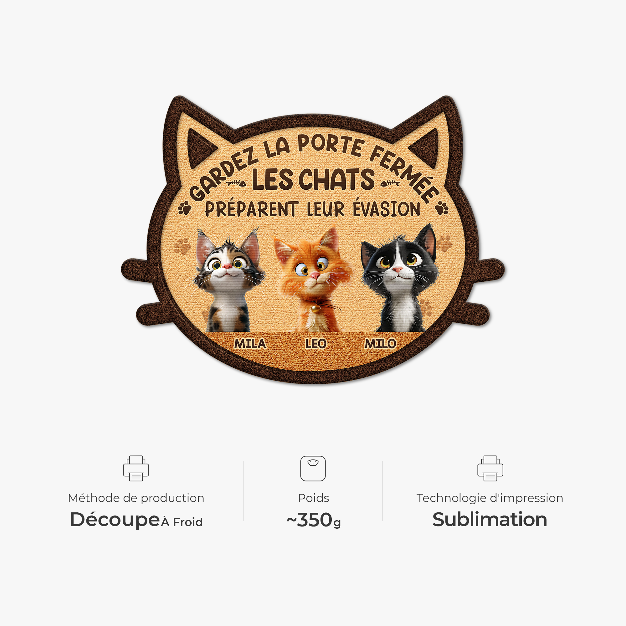 8581AFR4 paillasson chat personnalise a forme decoupee gardez la porte fermee 8581ad6qwd