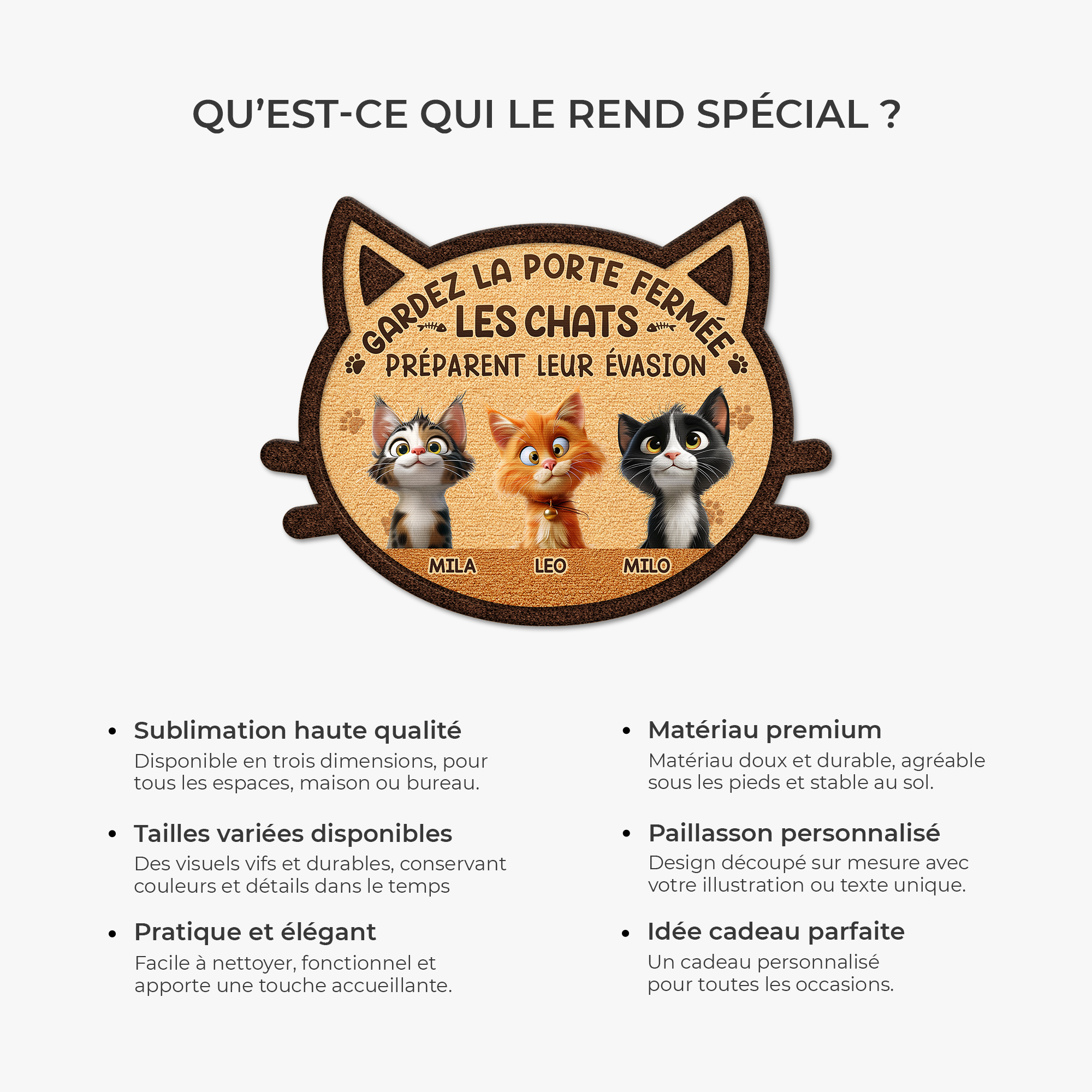 8581AFR6 paillasson chat personnalise a forme decoupee gardez la porte fermee 8581ad6qwd