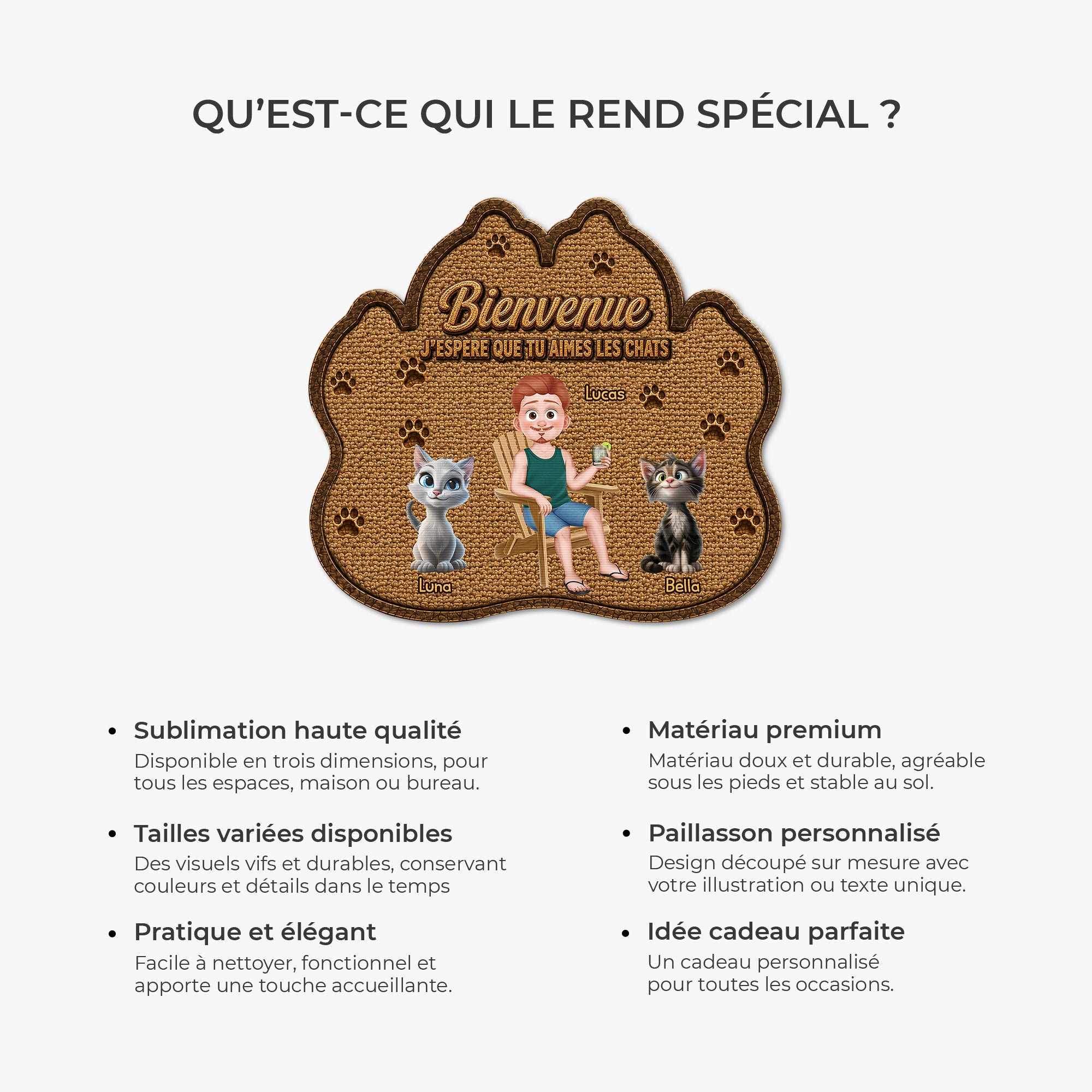 8616AFR6 paillasson personnalise chat a forme originale esperer que tu aimes les poils 8616adayrd