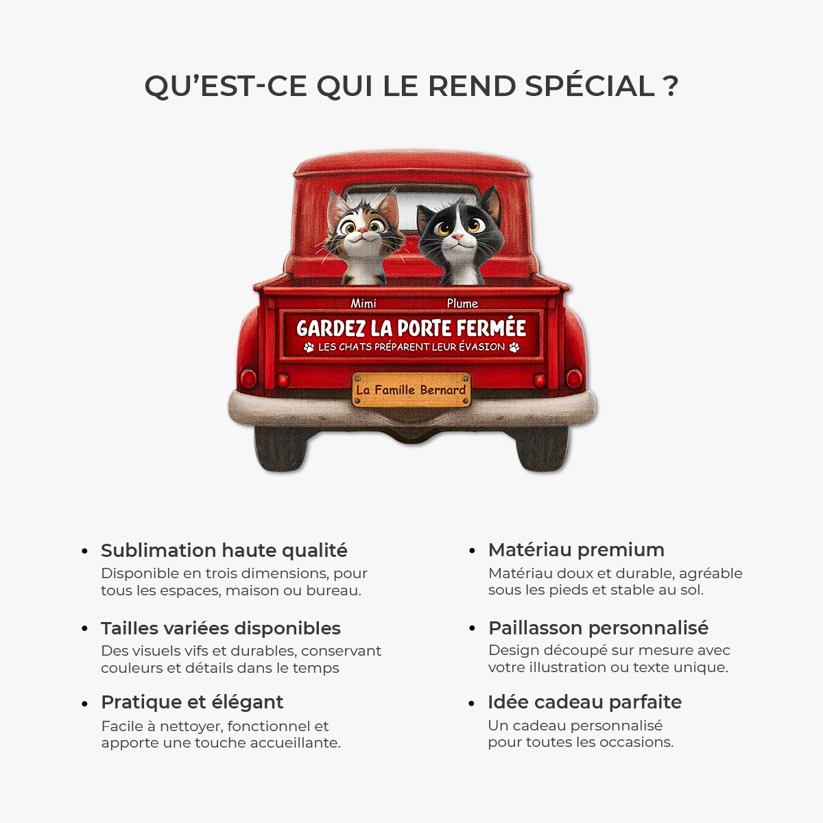 8624AFR6 paillasson personnalise avec chat a forme decoupee preparer son evasion 8624ad8qbd
