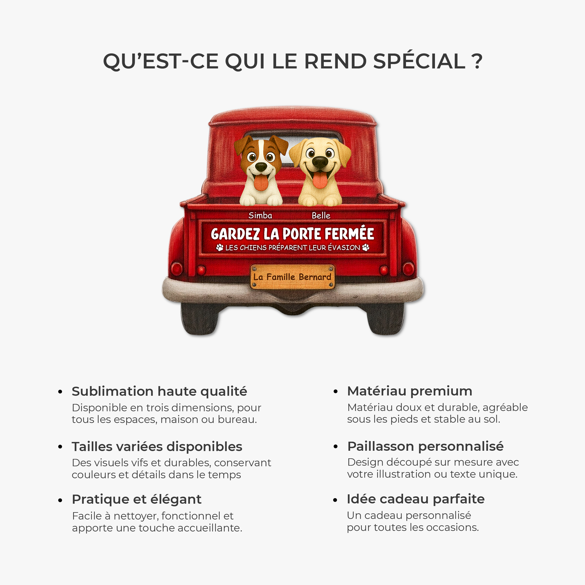 8624AFR6 paillasson personnalise avec chien a forme decoupee preparer son evasion 8624ad8qbc_2d4e4444 1805 4141 b3e9 a6dcbb0a680b
