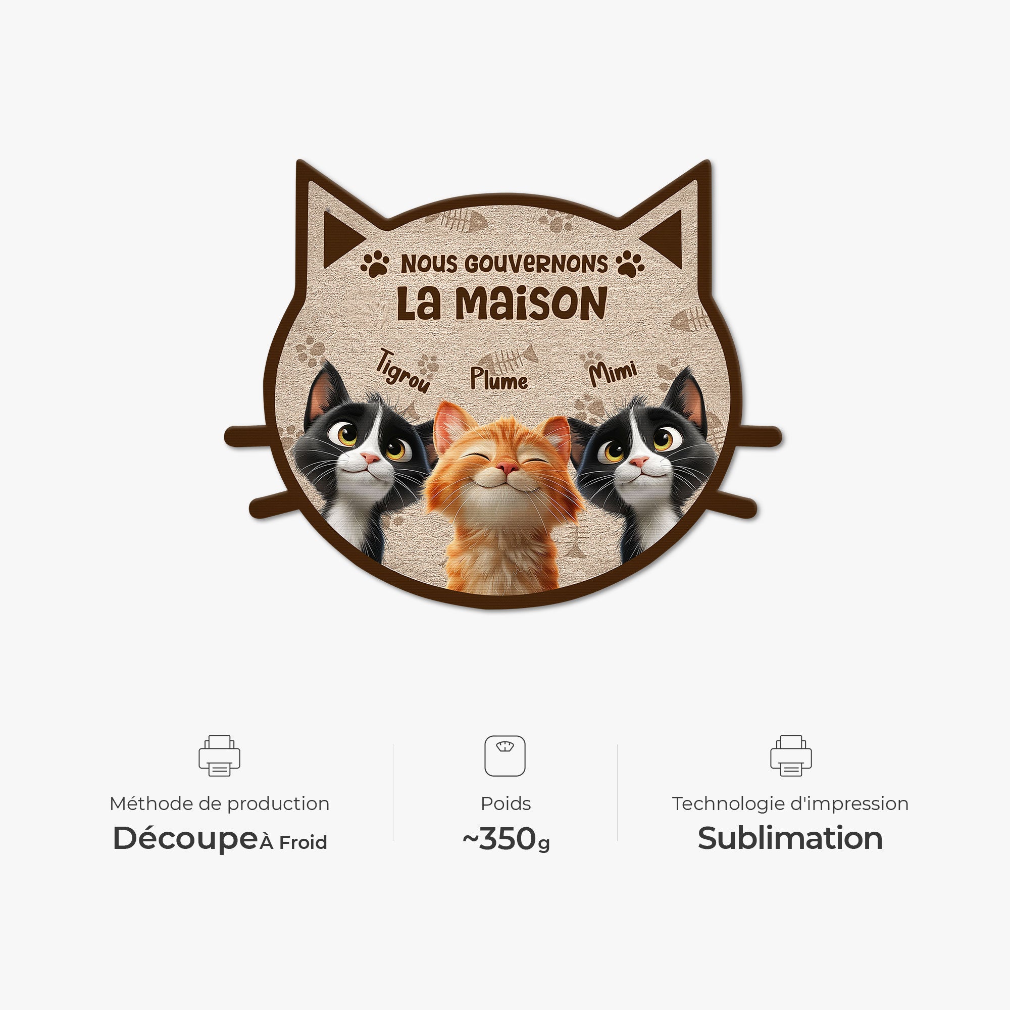 8626AFR4 paillasson chat personnalise a forme originale nous gouvernons la maison 8626ad8yrd