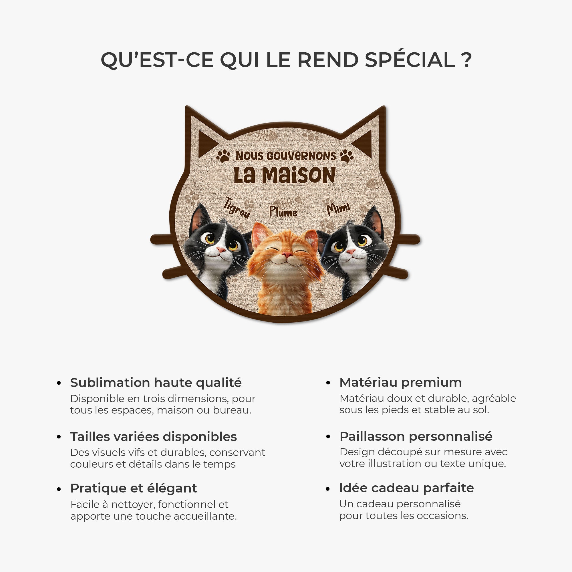 8626AFR6 paillasson chat personnalise a forme originale nous gouvernons la maison 8626ad8yrd