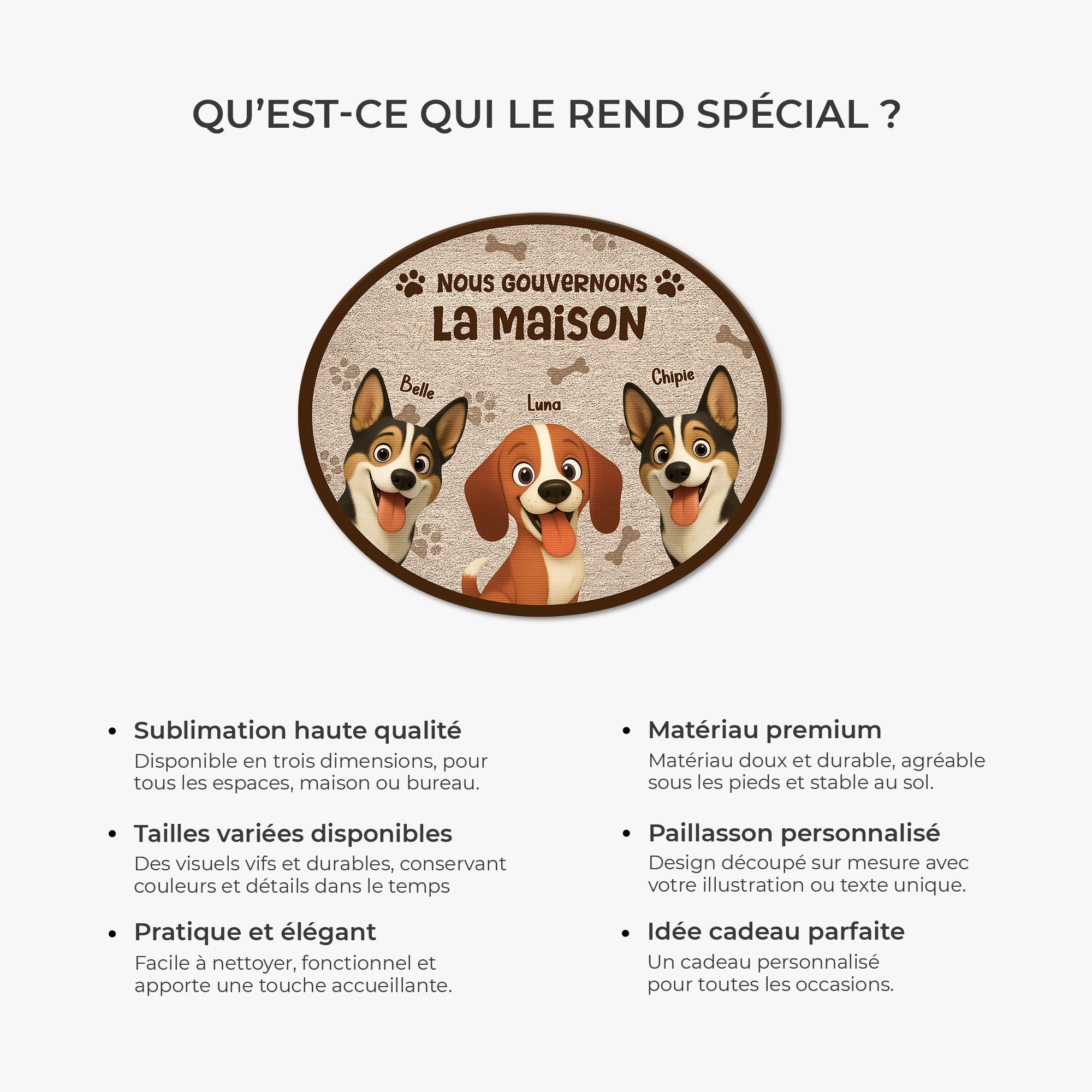 8626AFR6 paillasson chien personnalise a forme originale nous gouvernons la maison 8626ad8yrc