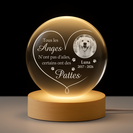 9127LFR1 boule cristal lumineuse personnalisee photo commemorative chienchat tous les anges nont pas dailes 9127l3fpc_70420893 6c7e 48b8 a825 91558099bb53
