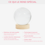 9127LFR4 boule cristal lumineuse personnalisee photo commemorative chienchat tous les anges nont pas dailes 9127l3fpc_2abccc72 b854 4be9 811b a95cca765b4c