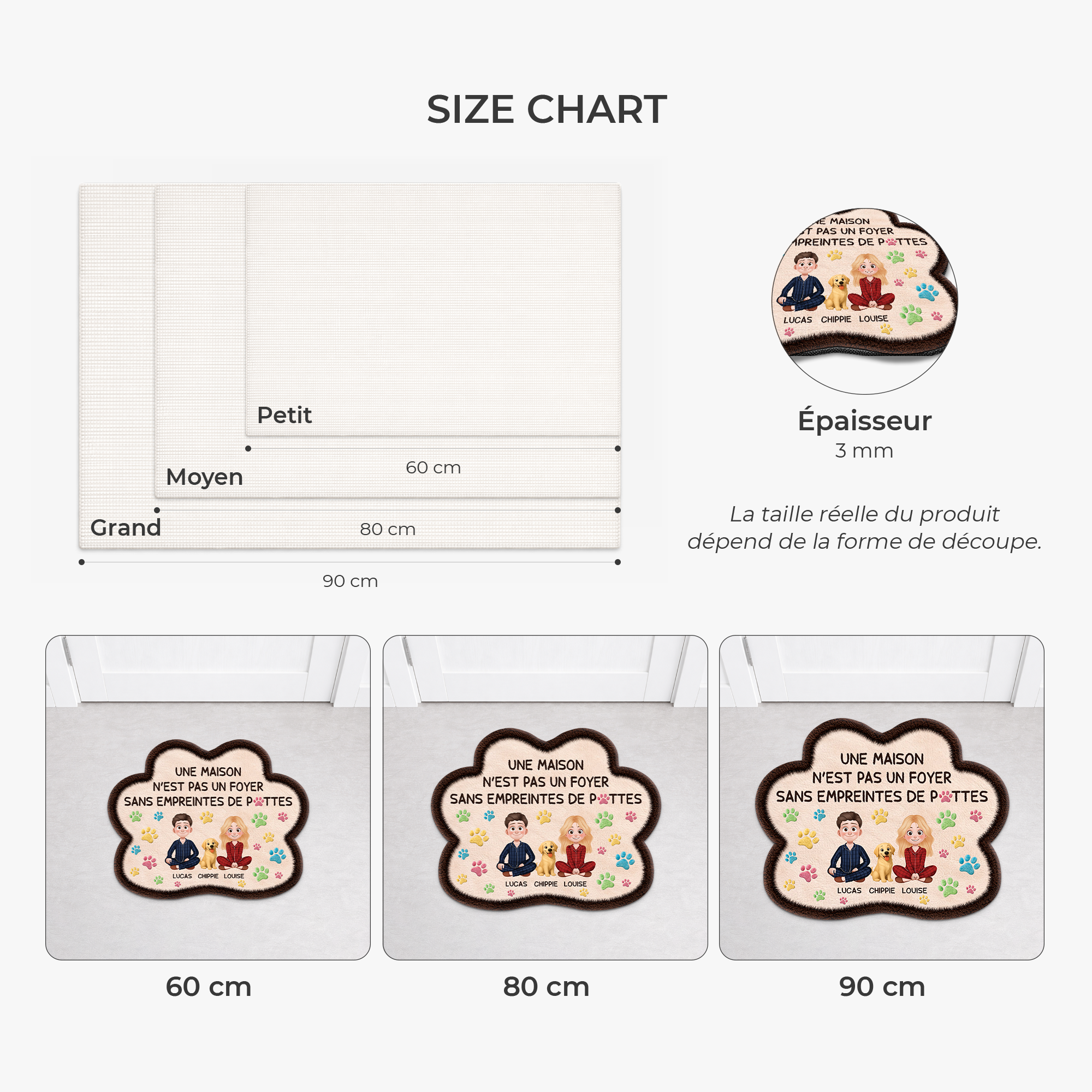 9228AFR3 effet dimpression 3d paillasson chien personnalise forme originale maison avec des pattes 9228adnxnc