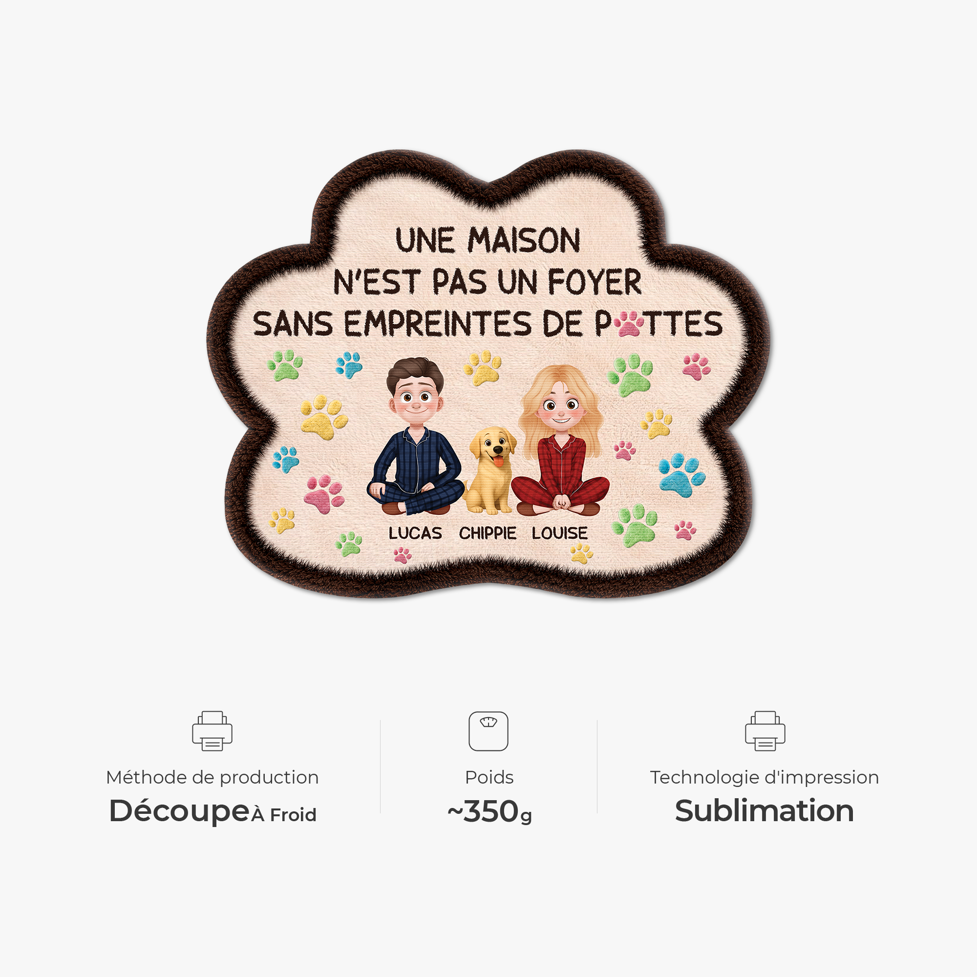 9228AFR4 effet dimpression 3d paillasson chien personnalise forme originale maison avec des pattes 9228adnxnc