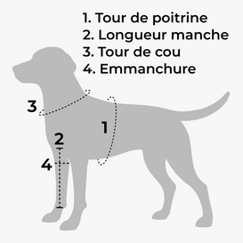 Basketball_Pet_Costume_FR