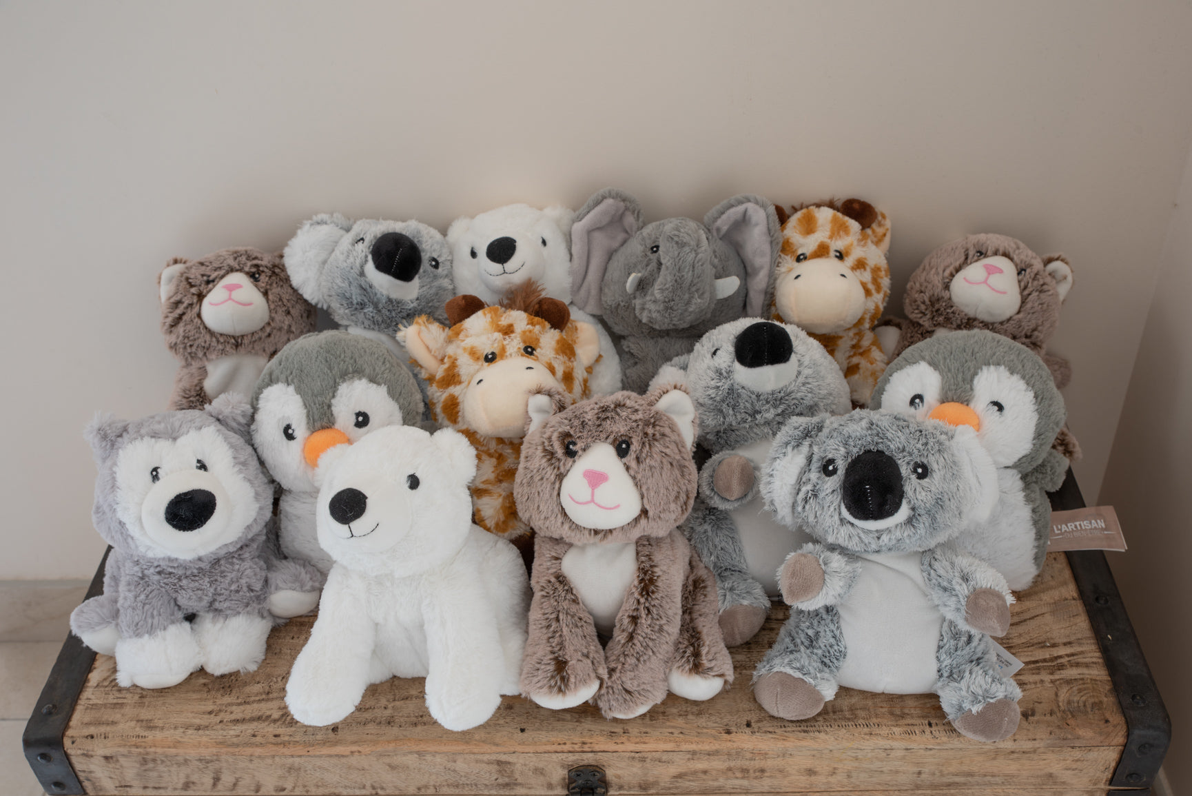 Bouillotte micro-ondes (Pelucho)