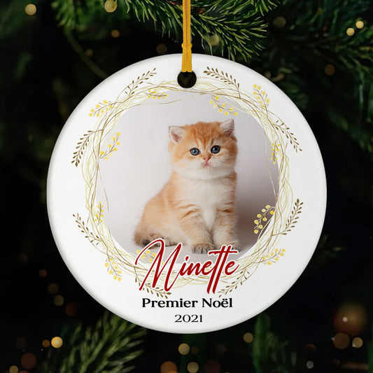 FR1_3e70d373 df01 47b9 b5bb eae4b673850e