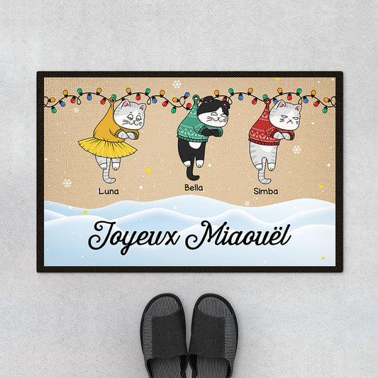 FR1_4dca9e97 dc21 494e b833 d55bf0caf12c