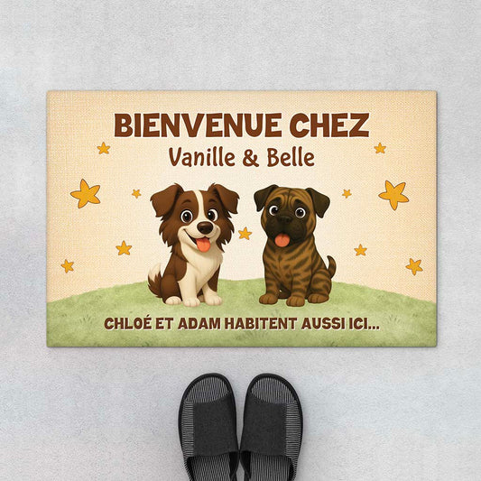 FR1_82879e7b 7bcb 4fbd 955c 9233c47fc376