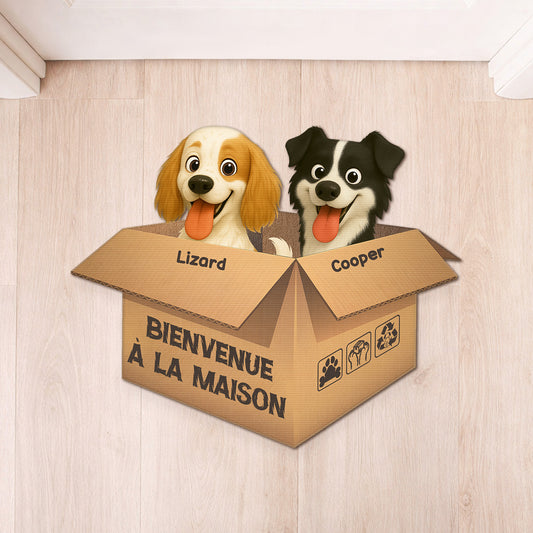 FR1_baa987f5 8506 472f 8d82 7db7f5b0dbd9