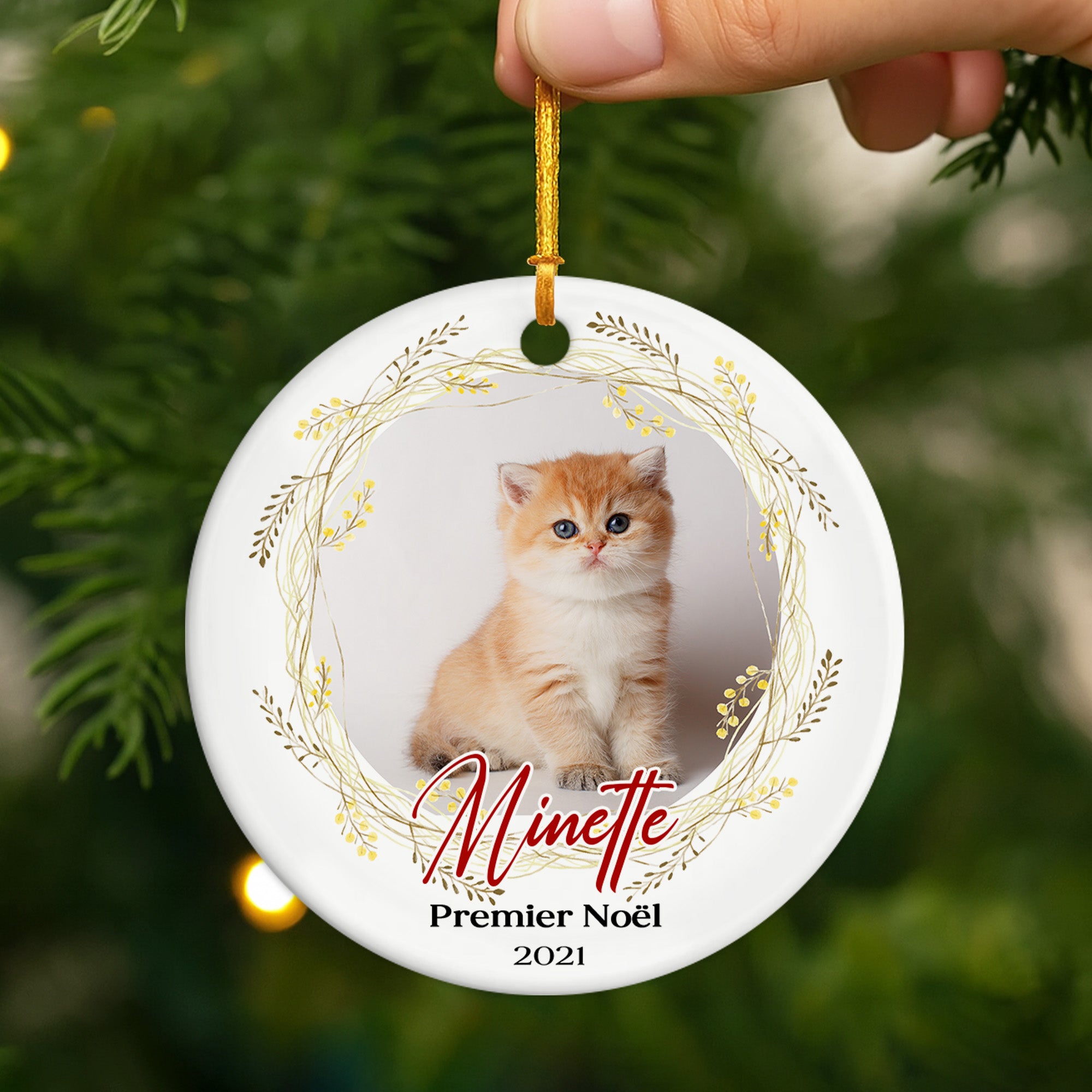 FR2_049a50f6 9086 479d 8c3c a6c4ec544efa