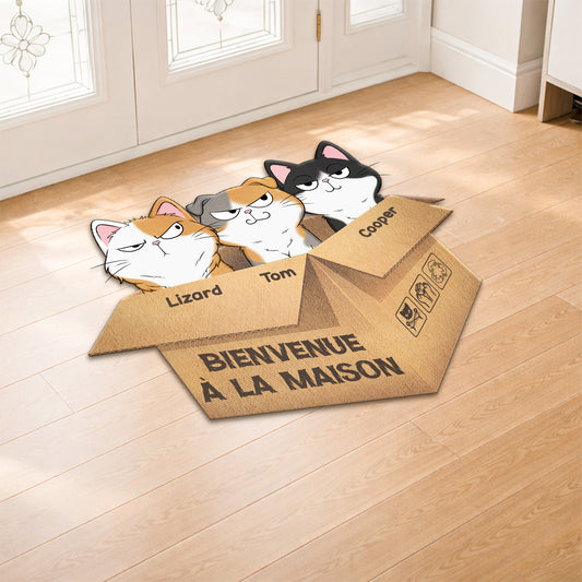 FR2_10bf2204 1bc3 455d 8e8c 560c32e4dca0