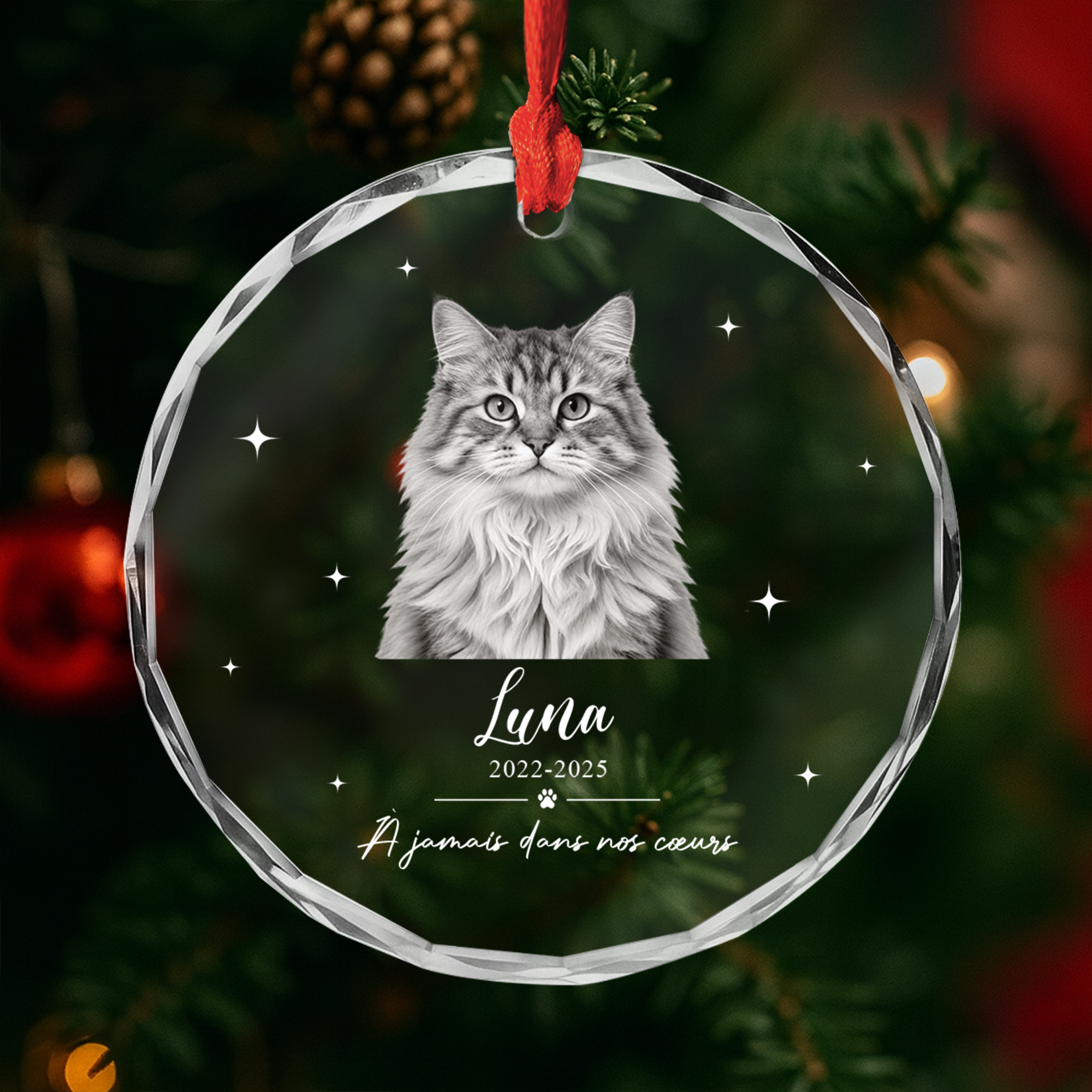 FR2_1a86b94c de33 4861 9e1d a7c38adcdf69
