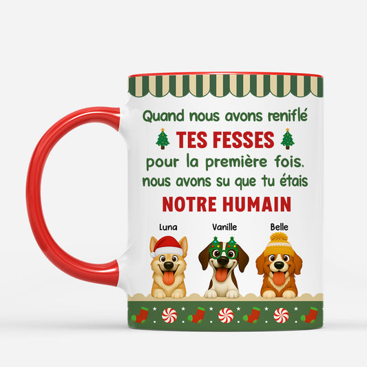 FR2_41ee347d 2a00 406e 974c f168ea11e804