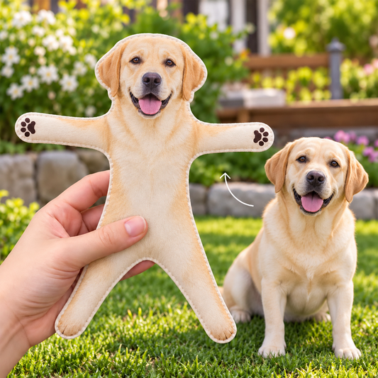 LabradorRetriever_88283cb8 4fd4 4c39 a894 6108e5047837